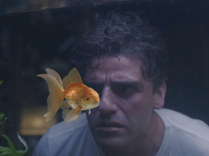 ‘Midnight Man’ – Moon Knight 1.1: The Goal Fish&nbsp;Problem