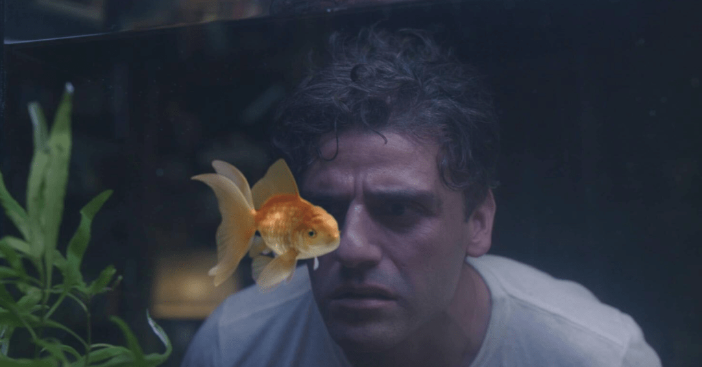 ‘Midnight Man’ – Moon Knight 1.1: The Goal Fish&nbsp;Problem